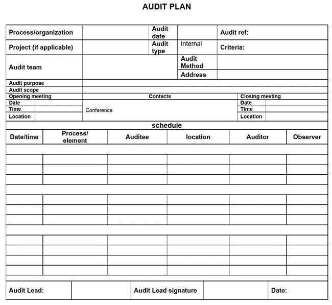 Figure 42 Sample audit plan.